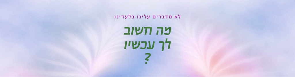 שיתוף ציבור, שורדי מסיבות הדרום